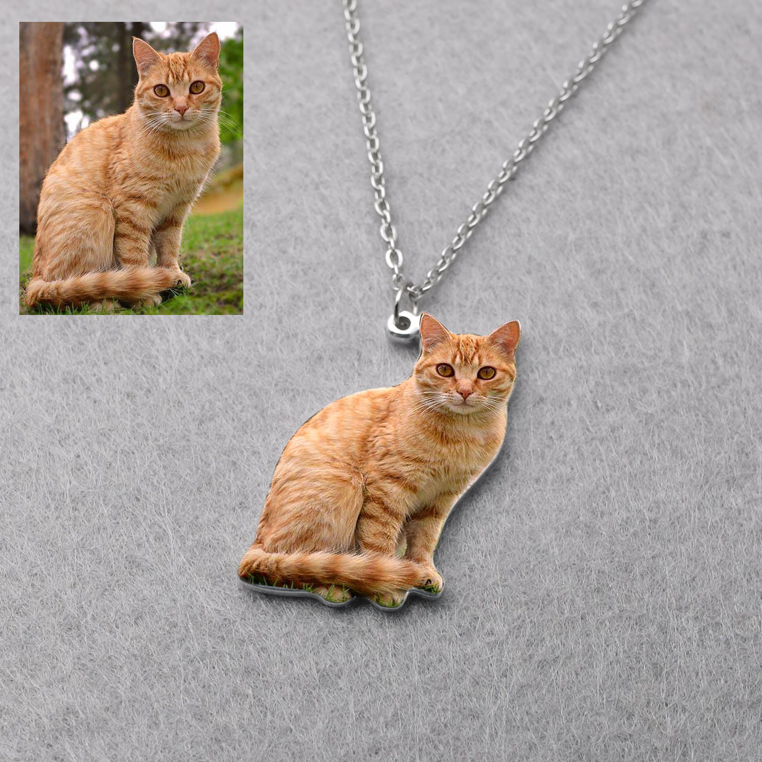 Kişiye Özel Evcil Hayvan Fotoğ - Pet Portrait Custom incelemesi ve fiyatı
