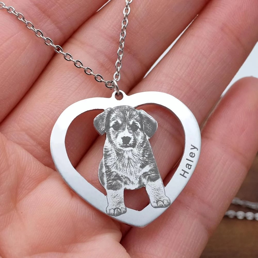 Kişiye Özel Evcil Hayvan Fotoğ - Pet Portrait Custom incelemesi ve fiyatı